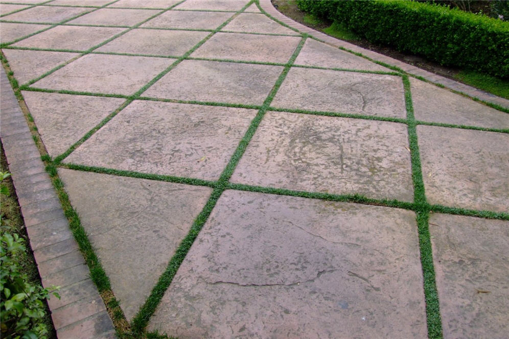 Groundcover Woven into Diamond Shapes