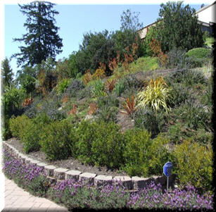 Hillsides