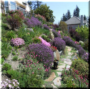 Scotts Valley Shangri-La