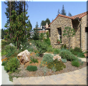 Supernative Garden