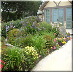 Shrub Borders