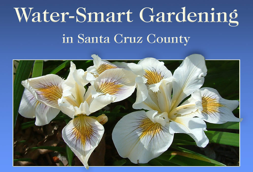 Opening Screen Water Conservation