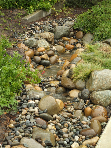 Rock Lined Swale