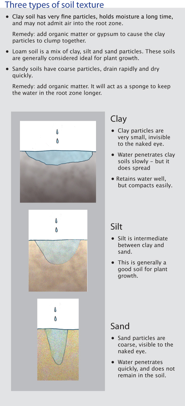 Soil type