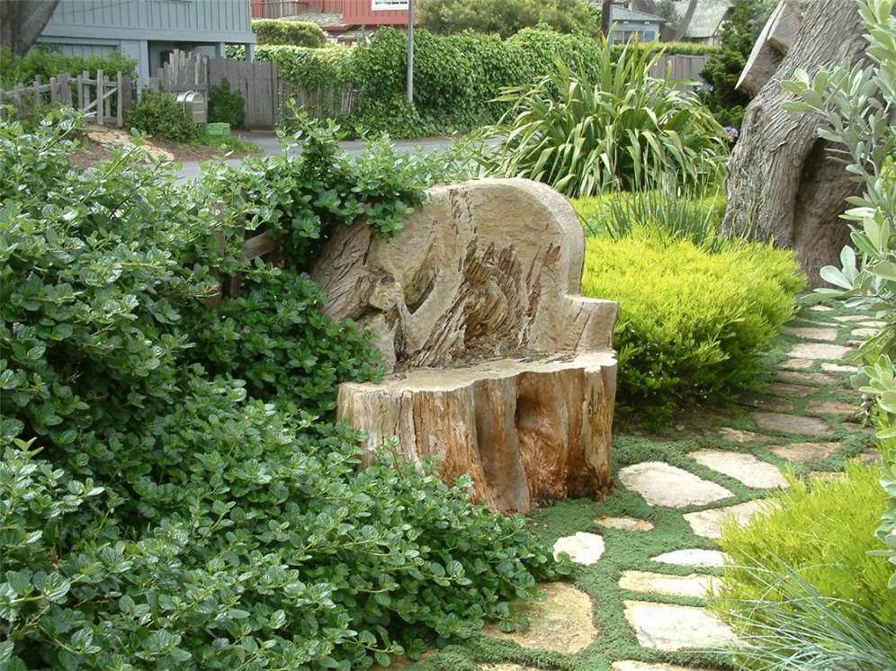 Bench Hewn From Tree Trunk