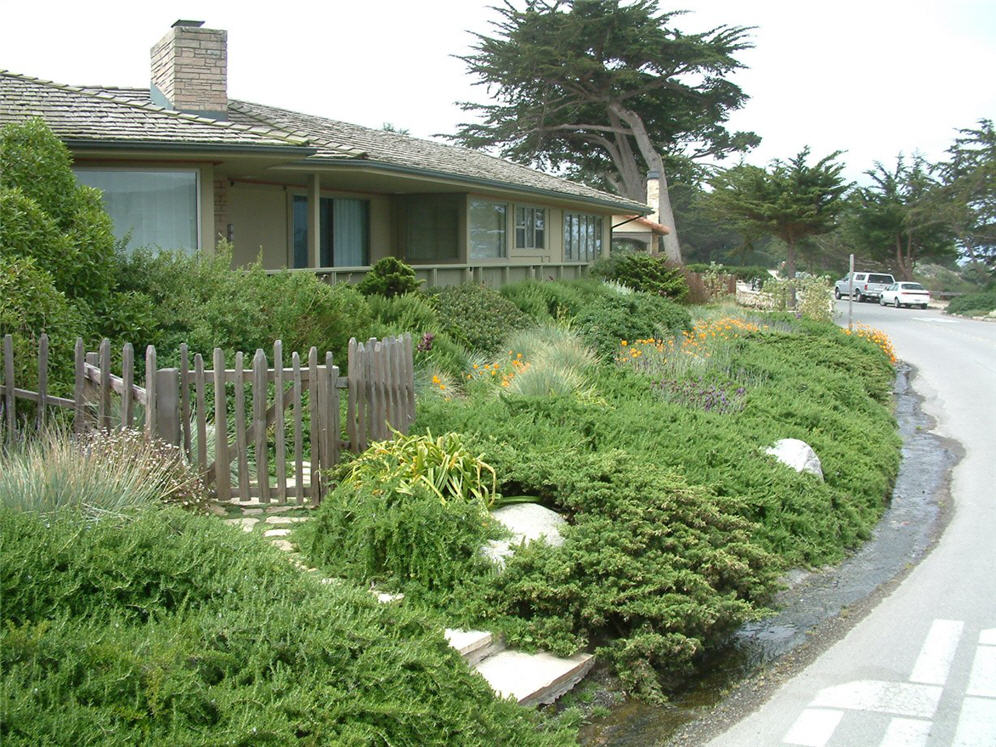 Lawn Alternative