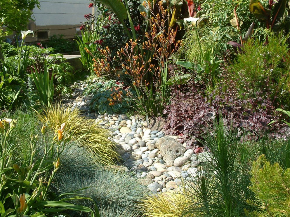 River of Rocks Meander Through