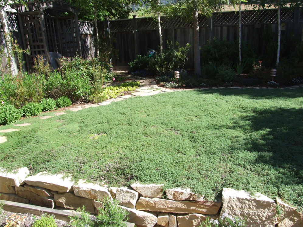 Backyard Patio Garden