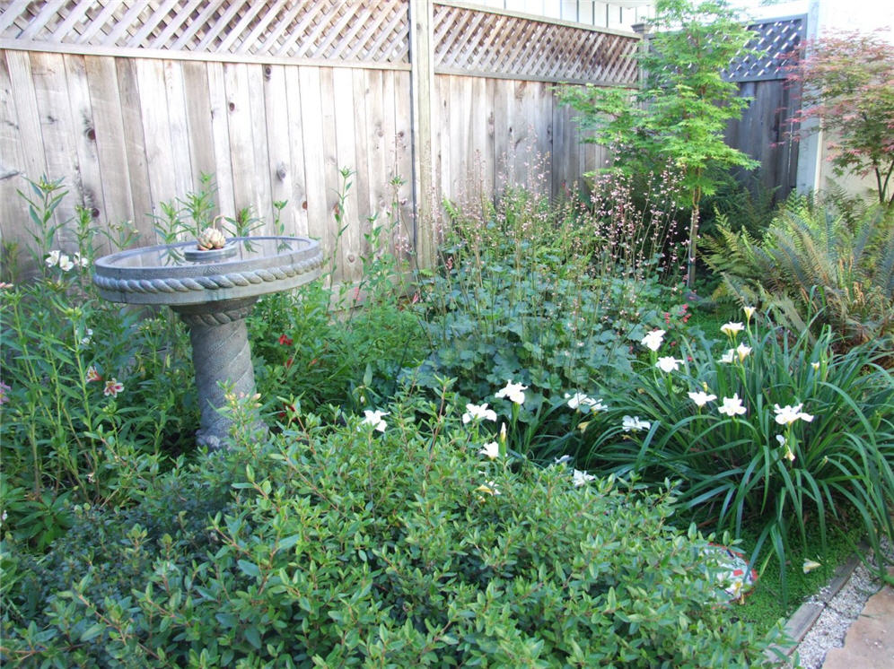 Birdbath Surrounded by Diversity