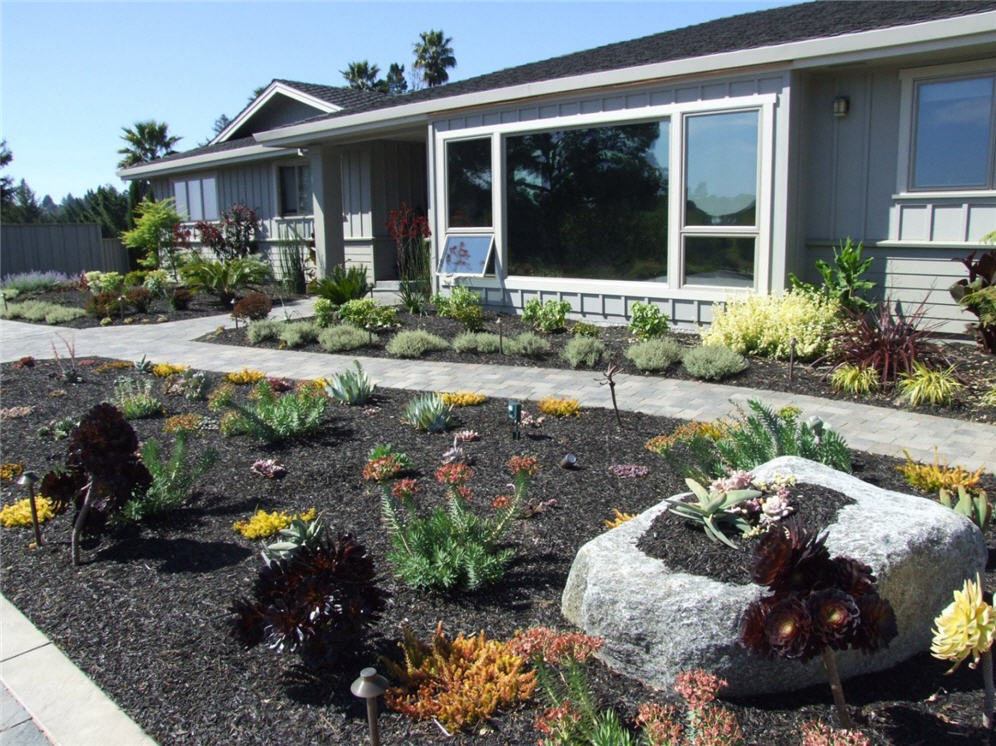 Succulents and Cacti Gardens