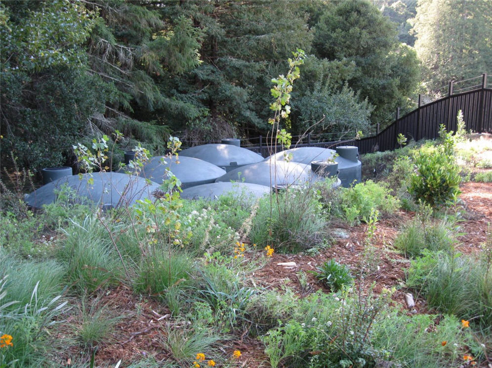 Rain Water Collection