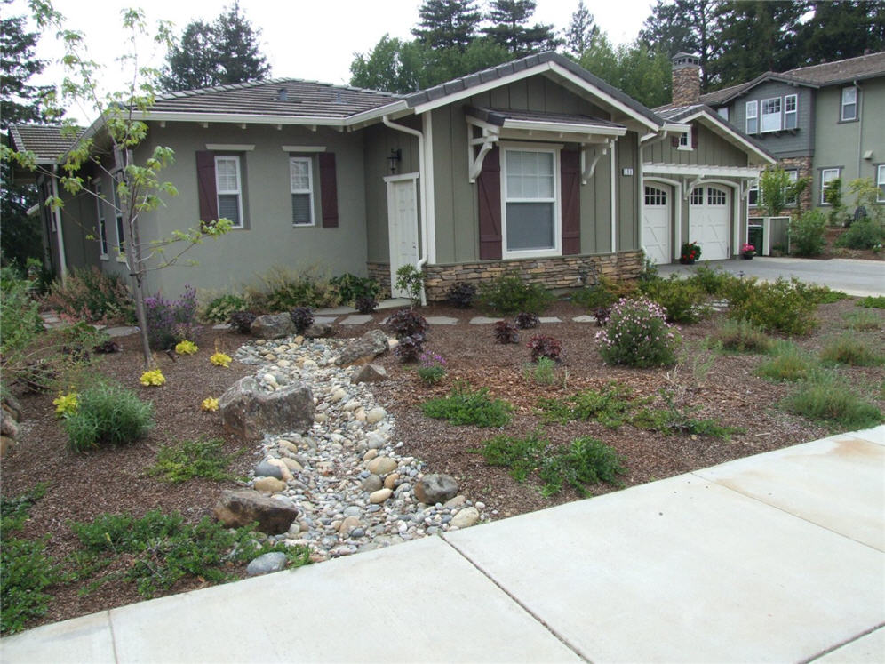 Dry Creek Bed Through Garden