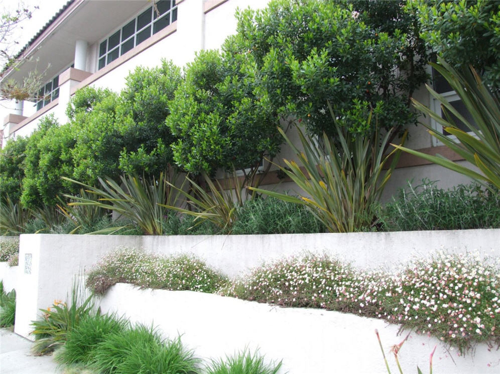 Terraced Planters