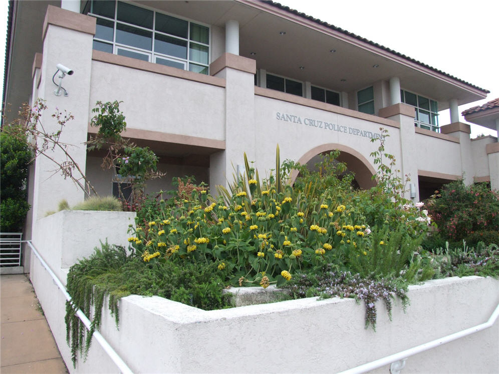 Planter in front of Police Department