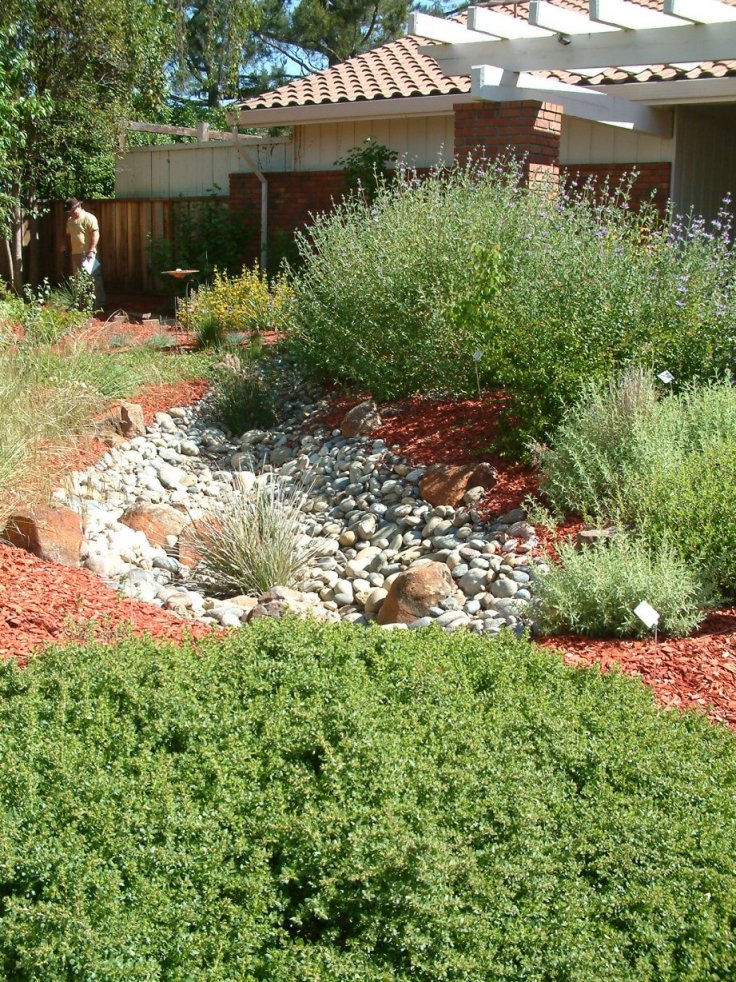 Red Rocks in the Garden