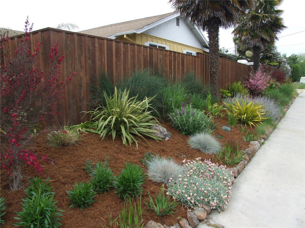 Well Mulched Shrub Border