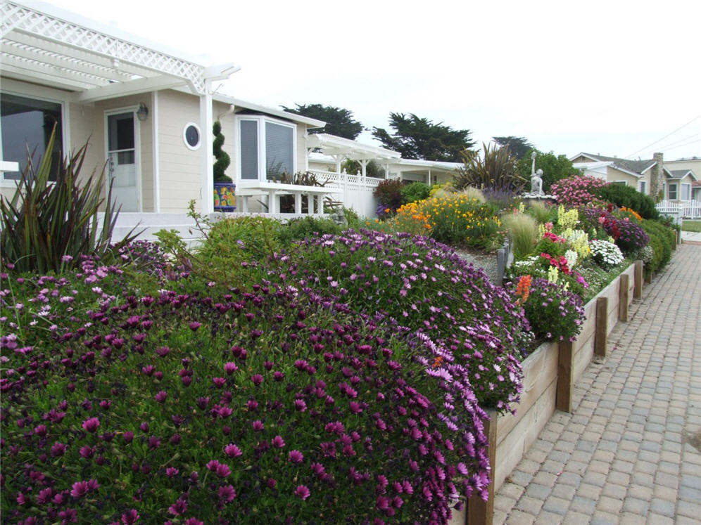 Raised Planters