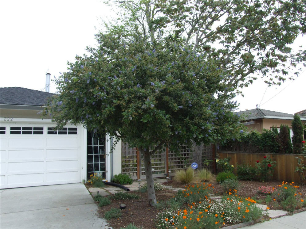 Urban Edge Garden