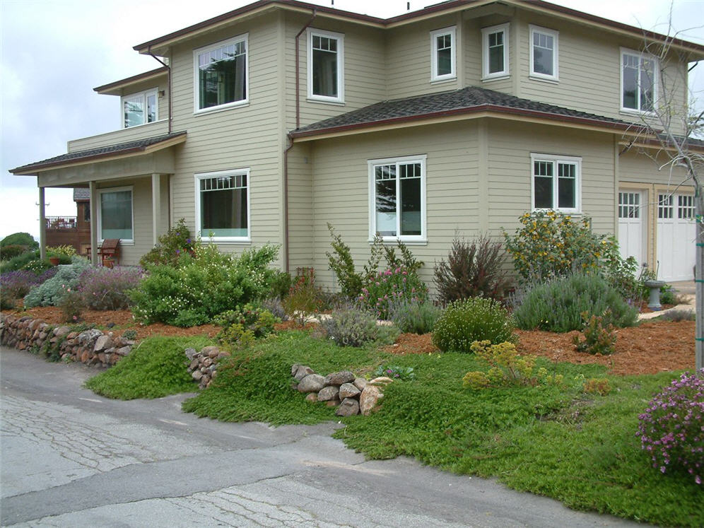 Coastal Cliff Garden