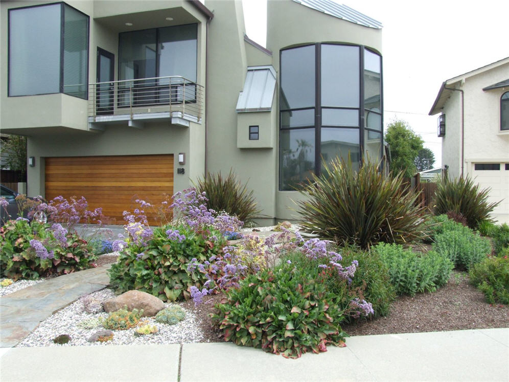Sea Lavender Garden