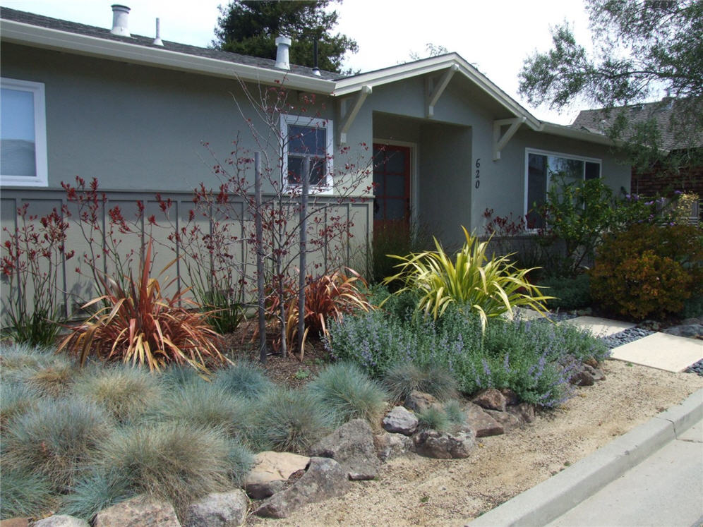 Harmonic Garden