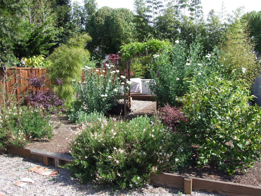 White Flower Garden
