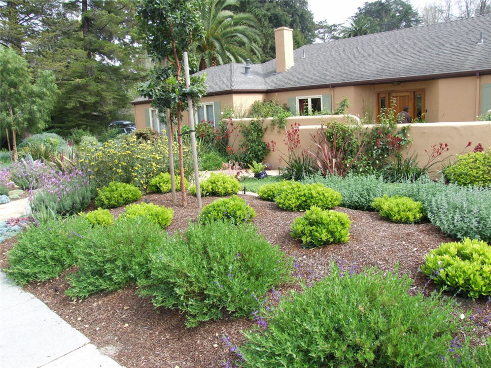 Yellow and Green Foliage