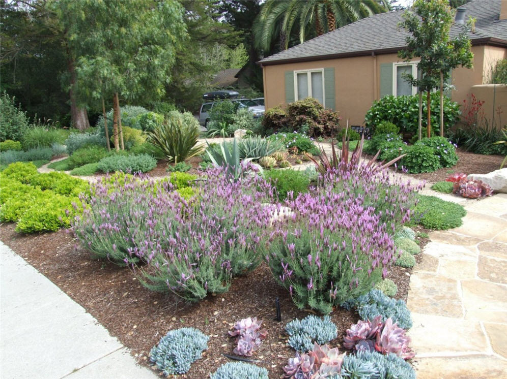 Garden Variety