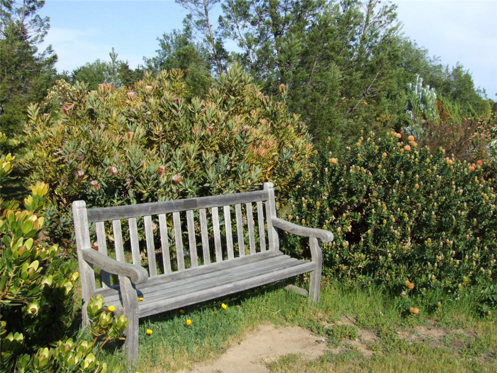 Weathered Wood Bench