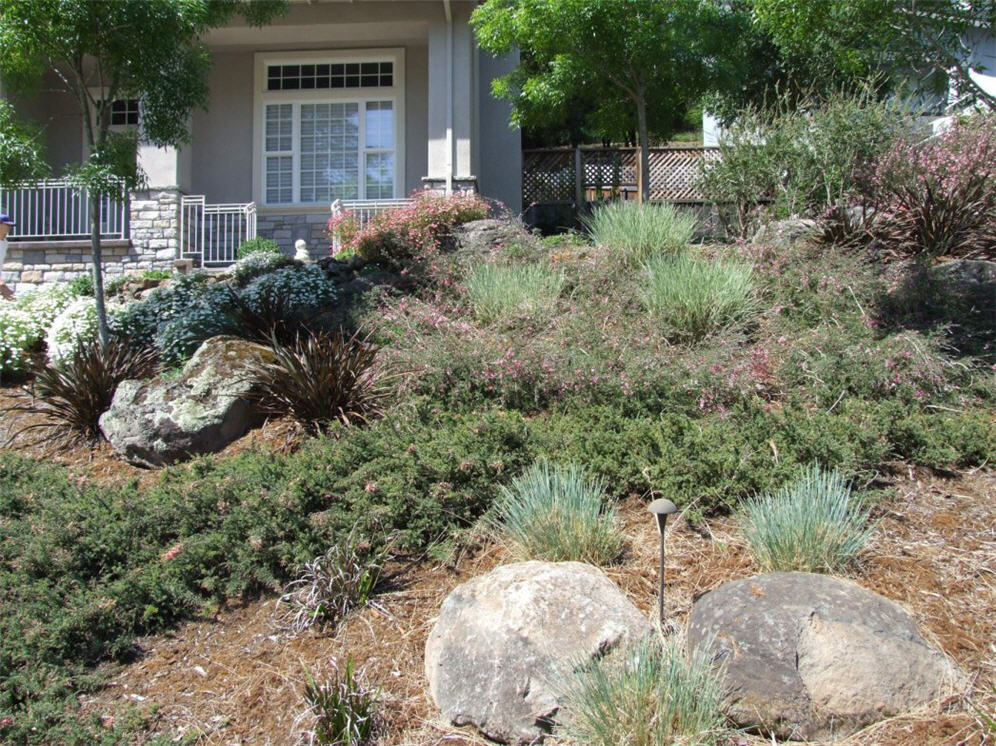 Rocks Stabilize Slope