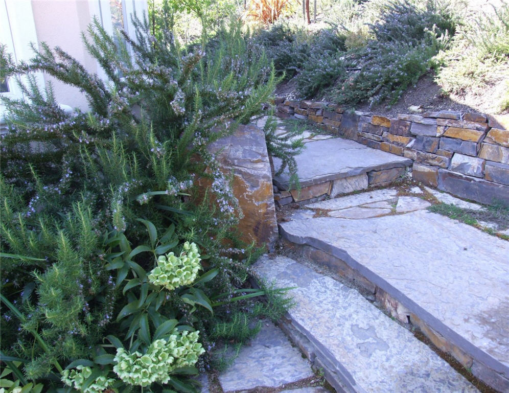 Rosemary and Companions