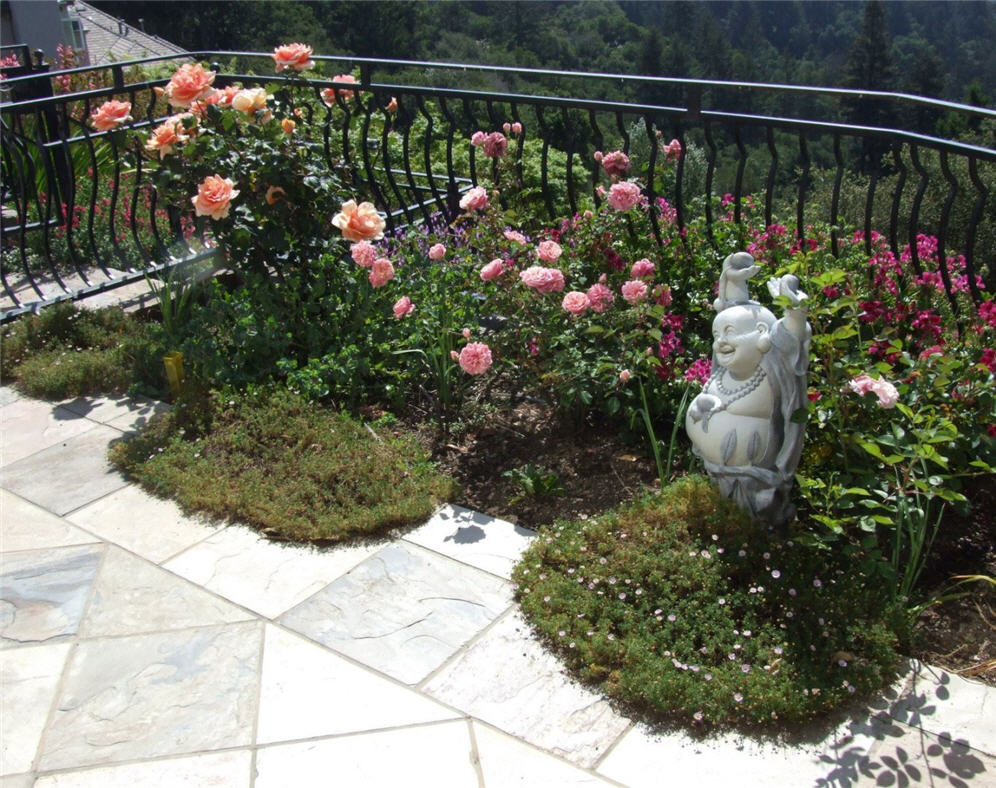 Happy Buddha and Roses