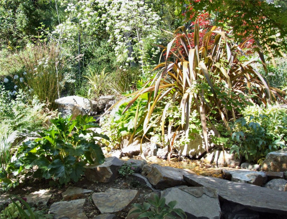 Garden Gone Wild