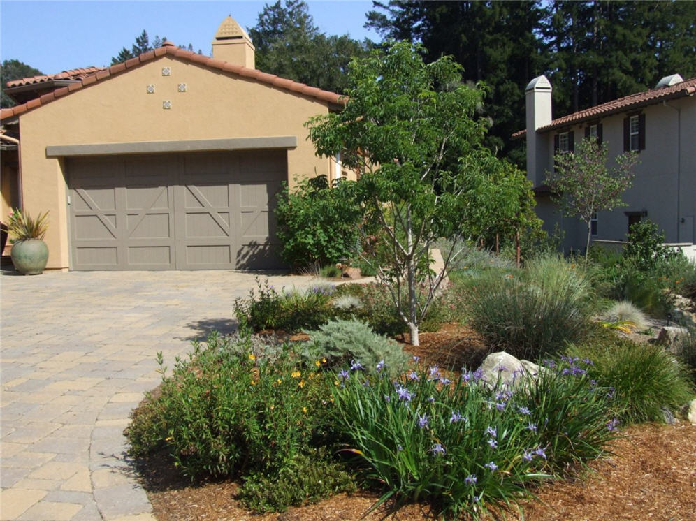 Vibrant Planting Bed