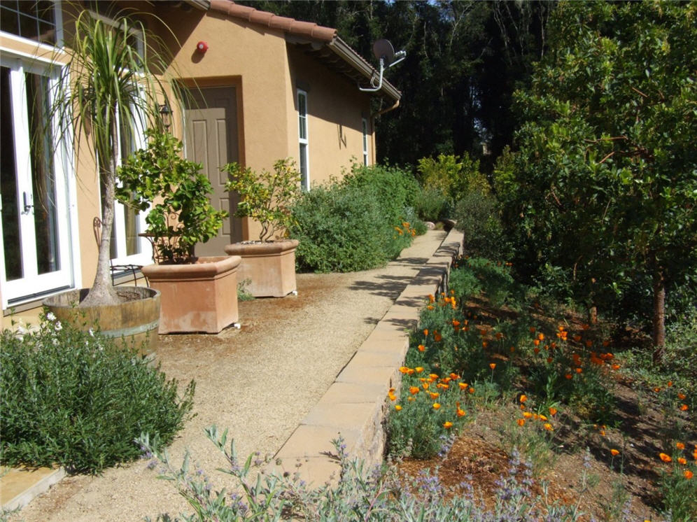 Tranquil Garden