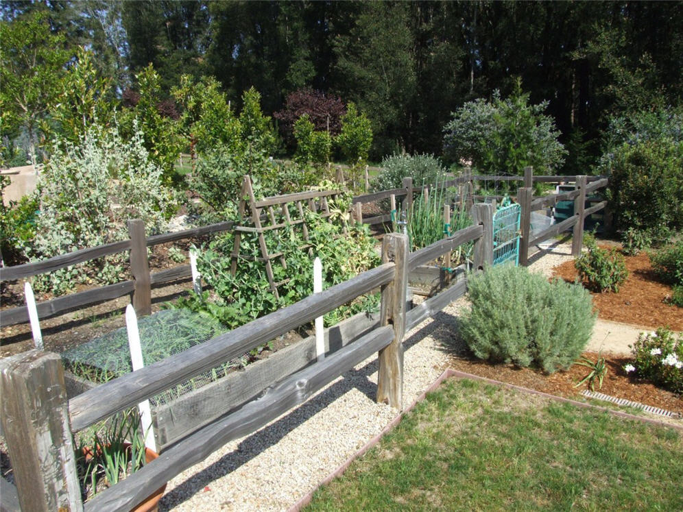 Vegetable Patch